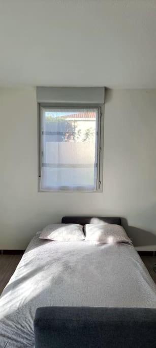 T2 Pool & Terrasse - Parking - Metro - Wifi Apartment Toulouse Exterior foto