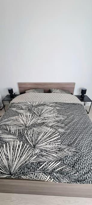 T2 Pool & Terrasse - Parking - Metro - Wifi Apartment Toulouse Exterior foto